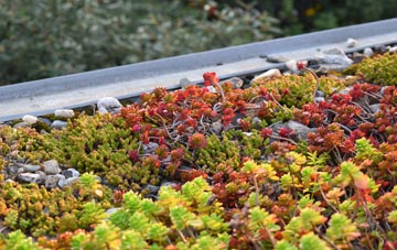 the cost of Red Row green roof installation