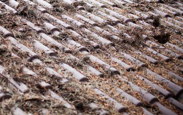 Red Row roof cleaning companies