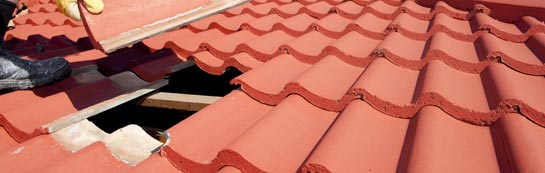 compare Red Row roof repair quotes