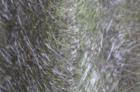 Red Row fibreglass roof work